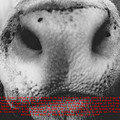 vol8_2